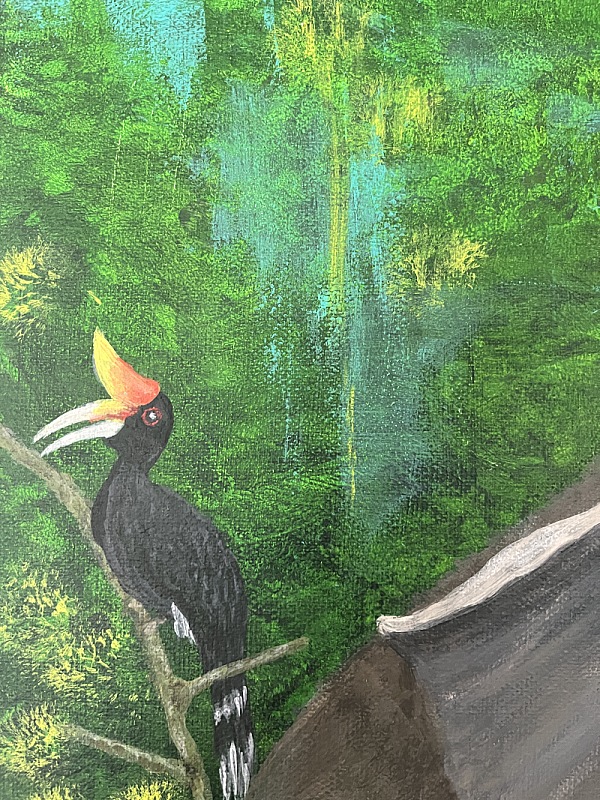 hornbill